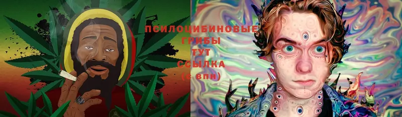 купить наркоту  Южа  Галлюциногенные грибы Magic Shrooms 